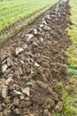 Furrow Royalty Free Stock Photo