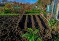 Furrows created in an allotment garden