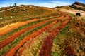 Furrows on mountain ridgeway, Hintere Niedere Royalty Free Stock Photo