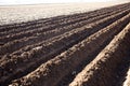 Furrows on ploughed field