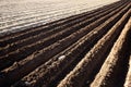 Furrows on ploughed field