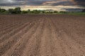 Furrows of plowed, prepared soil for sowing at sunset