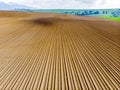 Furrows rows in a plowed field prepared for planting potatoes crops in spring. Royalty Free Stock Photo