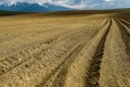 Furrows rows in a plowed field prepared for planting potatoes crops in spring. Royalty Free Stock Photo