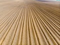 Furrows rows in a plowed field prepared for planting potatoes crops in spring. Royalty Free Stock Photo