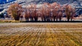 Furrows and Trees