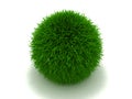 Furry ball Royalty Free Stock Photo