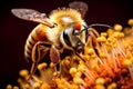 Furry Bee closeup. Generate Ai Royalty Free Stock Photo