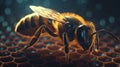 Furry bee on sweet honeycomb with copy space Royalty Free Stock Photo