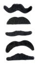 Furry black costume mustaches