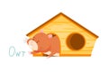 Furry Brown Hamster Moving Out of Wooden House Vector Illustration