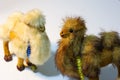 furry camel toys Royalty Free Stock Photo