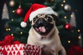 Furry Christmas greetings: pug and Santa hat