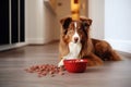 Furry dog near dry food bowl. Generate ai