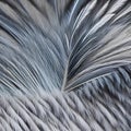 A furry and fluffy texture with animal fur and feathers5, Generative AI Royalty Free Stock Photo