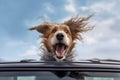 Furry Freedom: A Close-Up of a Joyful Pup in a Car Sunroof