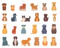 Furry friends icons set cartoon . Cat holding