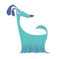Furry and funny purebred doggy cartoon. Vector illustration or icon. Afghan hound dog.