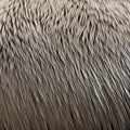 A furry and fuzzy texture with animal fur and fluffy pillows4, Generative AI Royalty Free Stock Photo