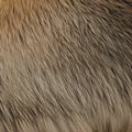 A furry and fuzzy texture with animal fur and fluffy pillows5, Generative AI Royalty Free Stock Photo