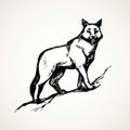 Wolf. Vector drawing Royalty Free Stock Photo