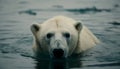 Furry mammal reflects in tranquil blue water generated by AI Royalty Free Stock Photo