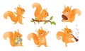 Furry Orange Squirrel Character Playing Flute and Holding Bunch of Flowers Vector Set