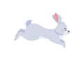 Furry rabbit running and jumping, cartoon flat vector illustration isolated on white background. Royalty Free Stock Photo