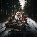 Furry Santa\'s Helpers: Christmas Dogs in Festive Santa Hats and Holiday Spirit