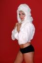 Furry Snow Bunny Royalty Free Stock Photo