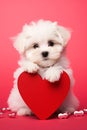 Furry Valentine: A Cute Puppy\'s Sweet Surprise