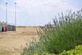 A furtive glimpse of a deserted sandy beach.