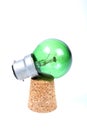 Fused bulb Royalty Free Stock Photo