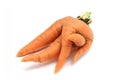 Fused orange carrot Royalty Free Stock Photo