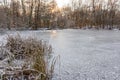 Fusen reeds on the shore of an icy lake