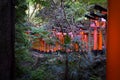 Fushimi Inari, Kyoto Royalty Free Stock Photo
