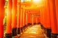 Fushimi Inari Kyoto Royalty Free Stock Photo