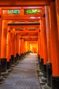 Fushimi Inari Kyoto Royalty Free Stock Photo