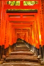 Fushimi Inari shinto Royalty Free Stock Photo