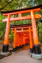 Fushimi Inari shinto Royalty Free Stock Photo