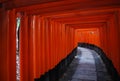 Fushimi Inari Shrine, Japan Royalty Free Stock Photo