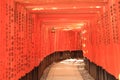 Fushimi-Inari Shrine