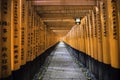 Fushimi Inari Shrine, Kyoto