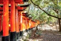 Fushimi Inari Shrine, Kyoto, Japan