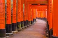 Fushimi Inari Shrine in Kyoto, Japan.