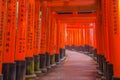 Fushimi Inari Shrine in Kyoto, Japan.