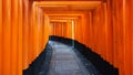 Fushimi Inari Shrine, Kyoto, Japan Royalty Free Stock Photo