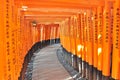 Fushimi Inari Shrine, Kyoto Royalty Free Stock Photo