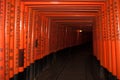 Tunnel thru the gates at Fushimi Inari Shrine