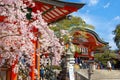 Fushimi Inari-taisha built in 1499, it\'s the icon of a path lined with thousands of torii gate with